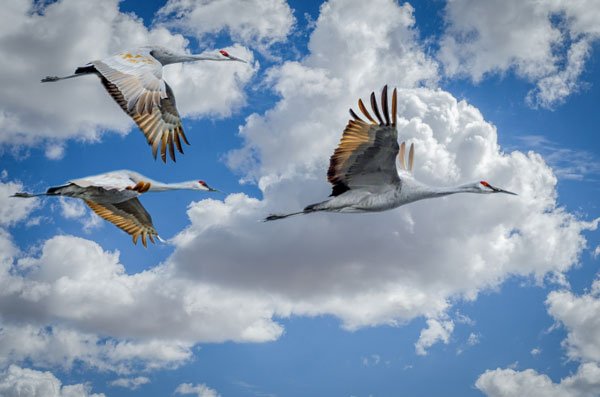 Migrating from Sage 50 to Sage X3