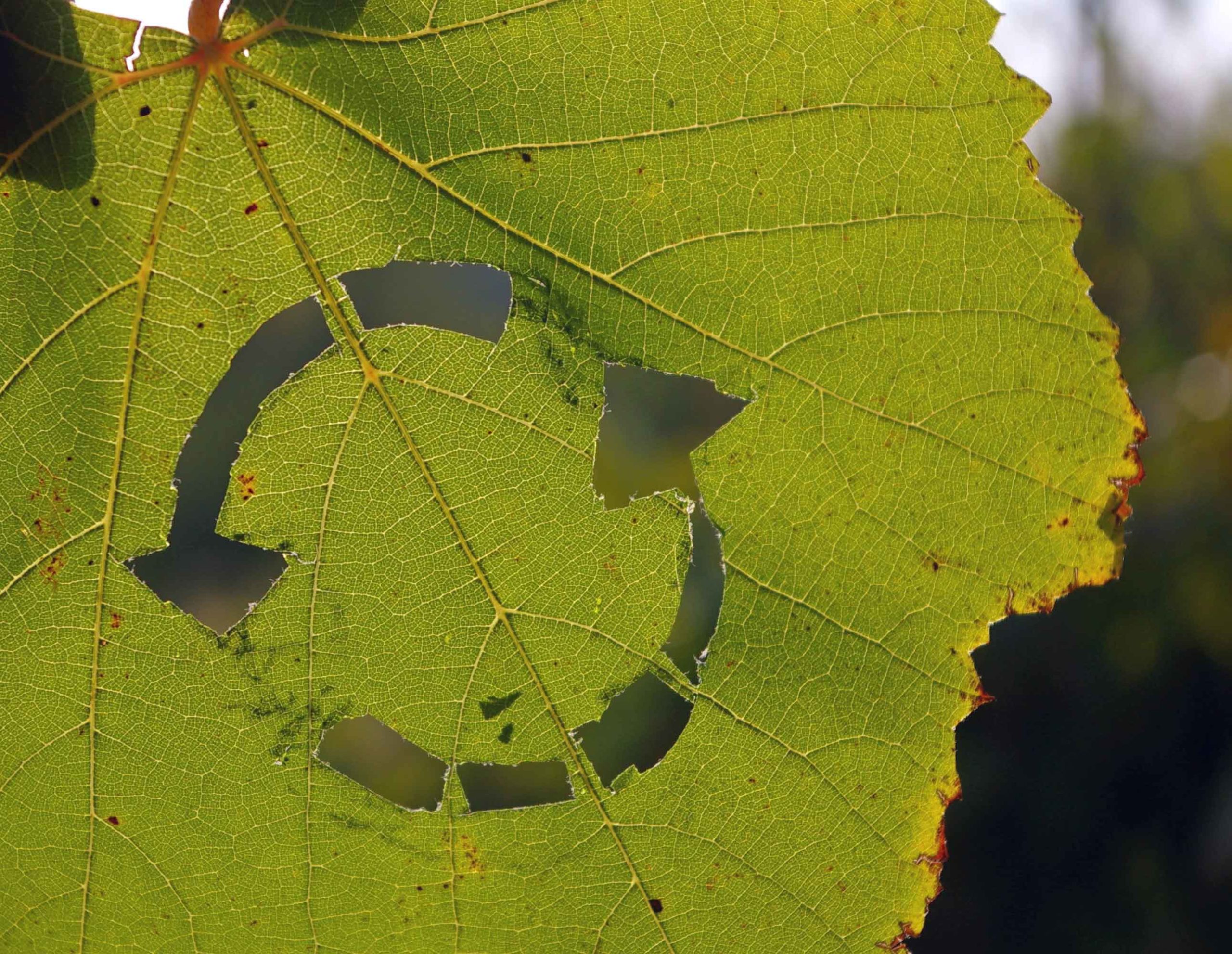 Manufacturing - circular economy