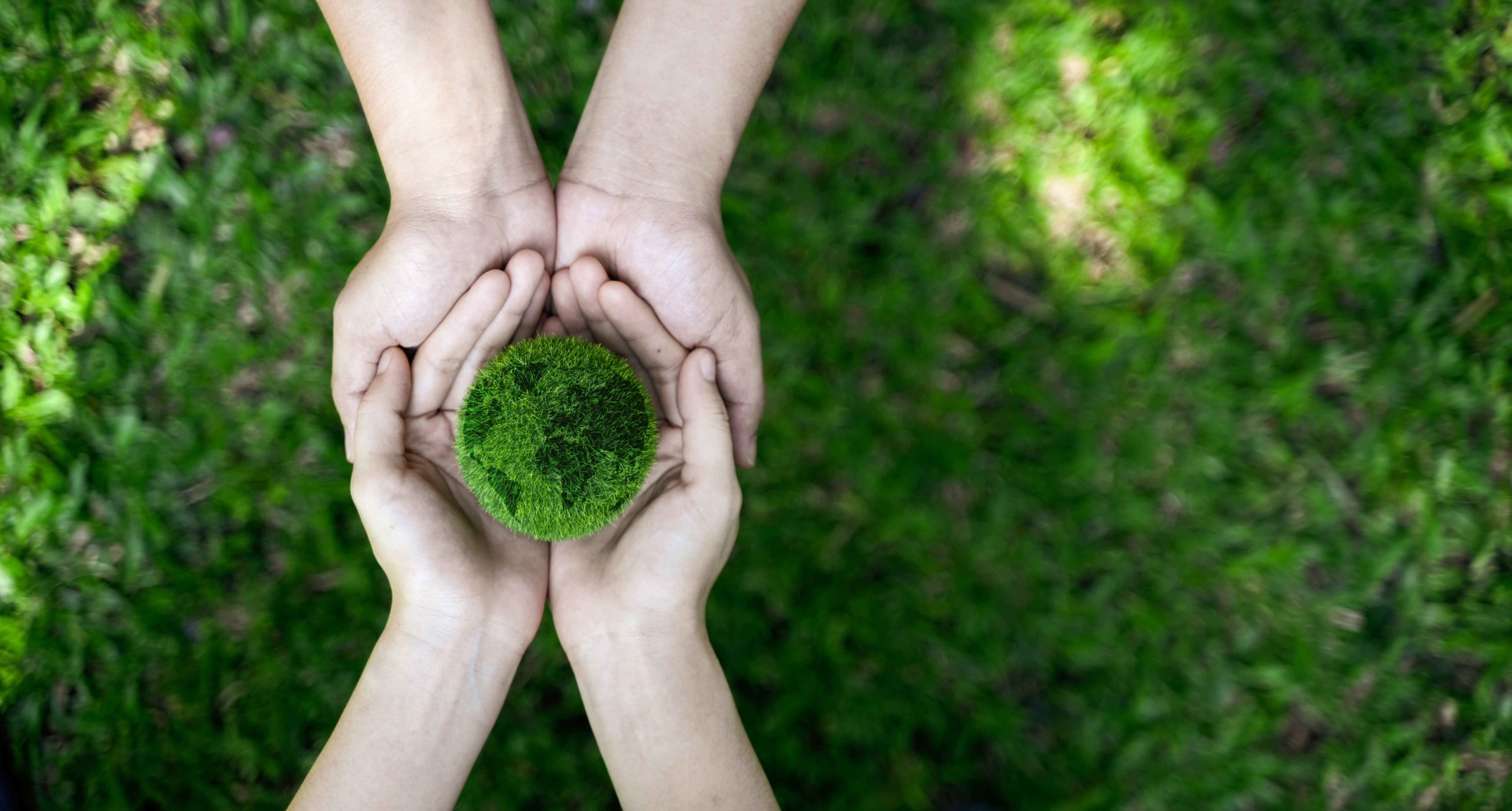 what is the circular economy?