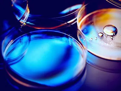 Petri dishes Petri dishes