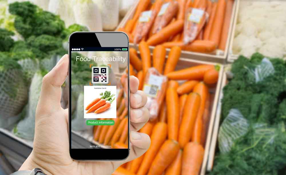 Food & beverage traceability - image of phone with traceability app scanning carrots