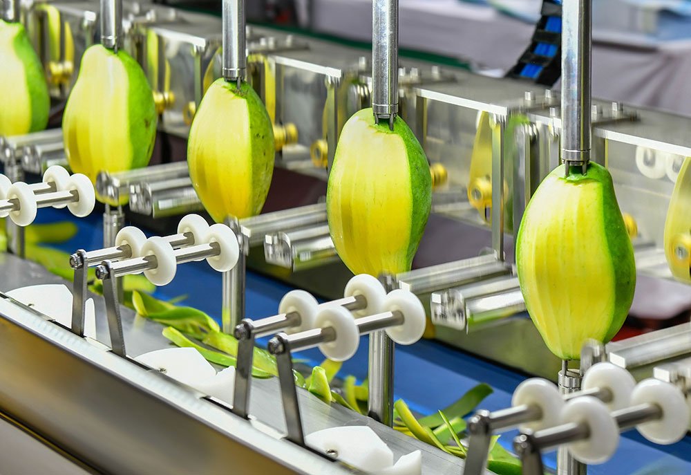 Food ERP software - image of mangos on production line