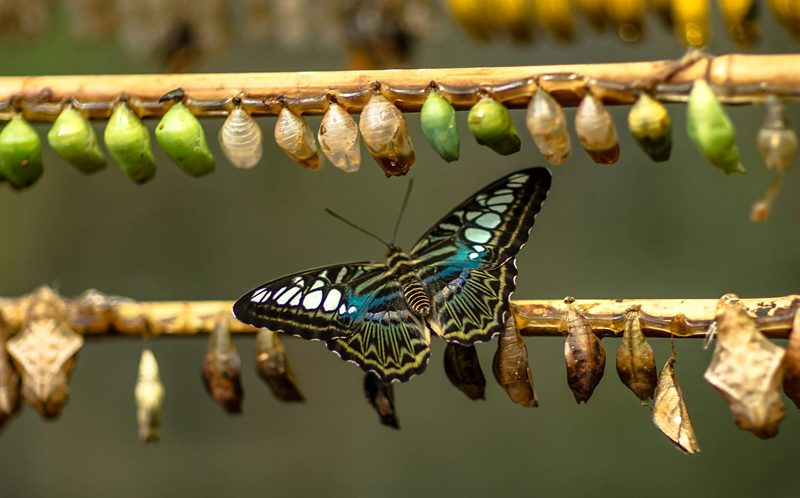 financial-transformation financial-transformation