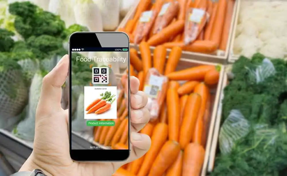 Food & beverage traceability - image of phone with traceability app scanning carrots
